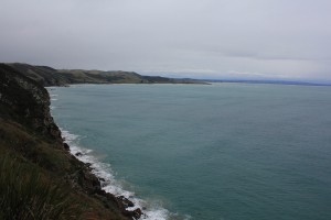 Slope Point - Nugget Point Lighthouse-026